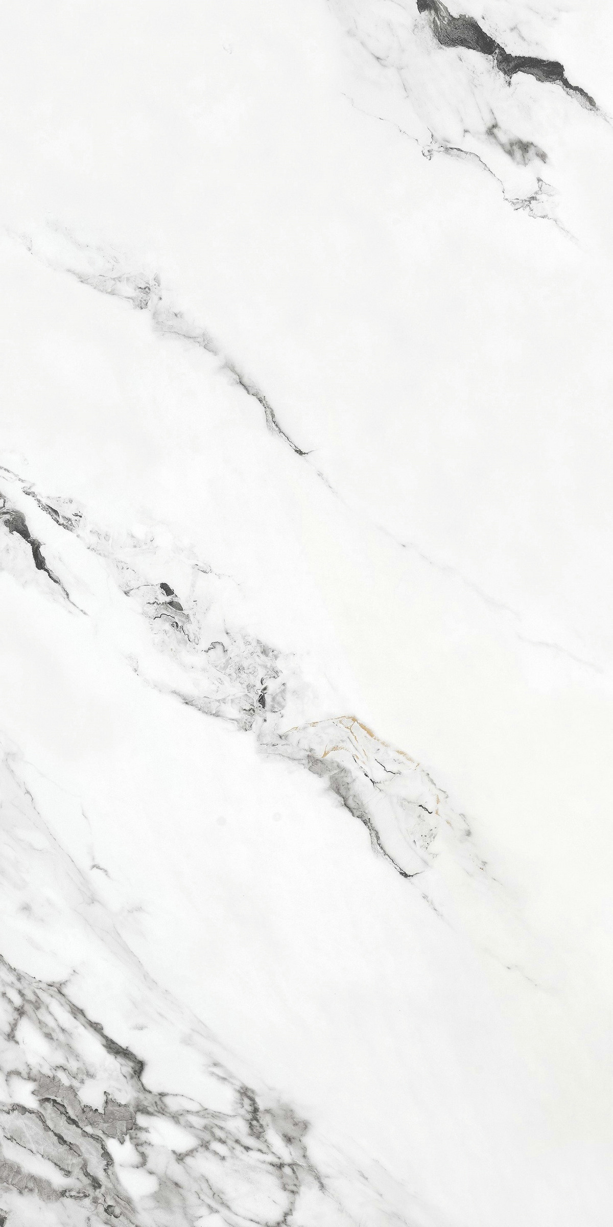 東方白  DLL918116F產(chǎn)品圖