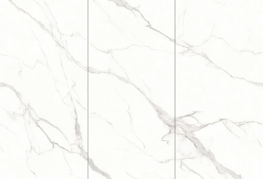 【新品】奢華定制，1600x3200mm成就大宅風(fēng)范！(圖24)
