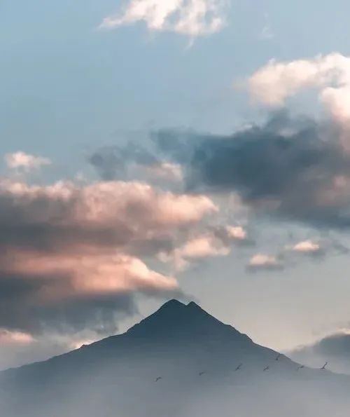 絨巖系列 | 自然與優雅共生,演繹靜謐之境(圖3) 圖片