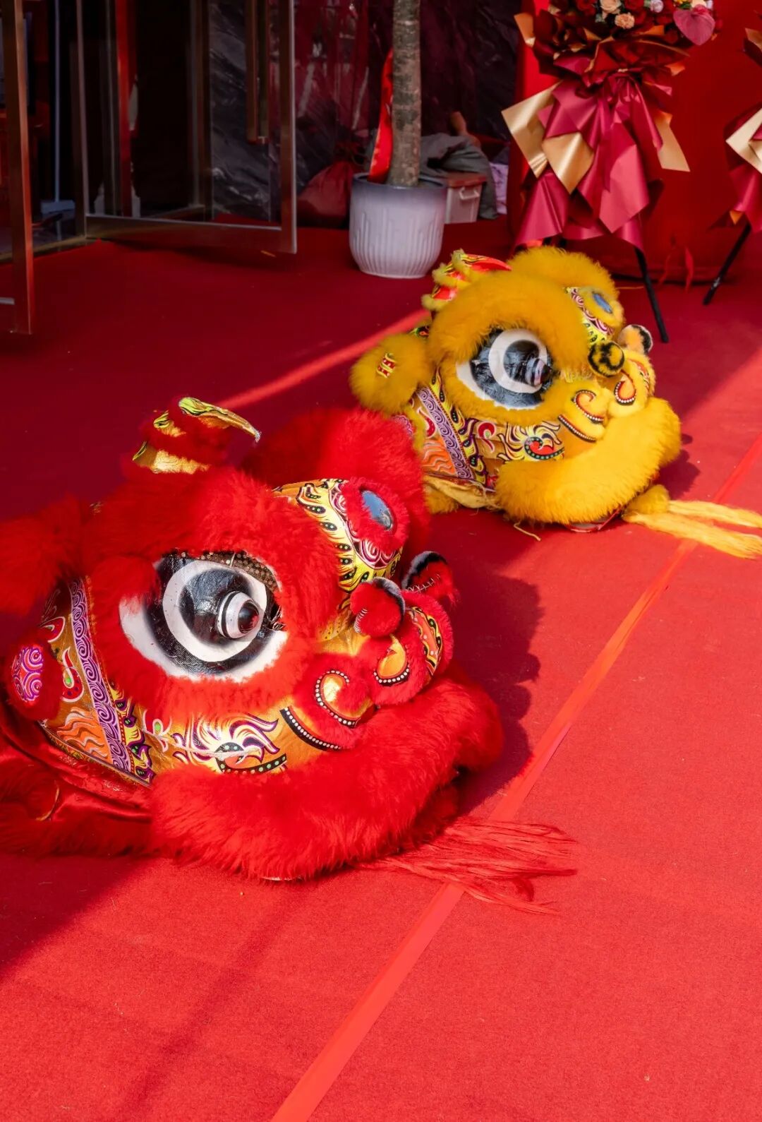 精工筑夢(mèng)·摯友同行 | 強(qiáng)輝邢臺(tái)旗艦店煥新開業(yè)(圖3)